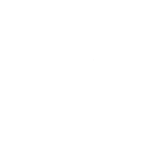 Themis International School